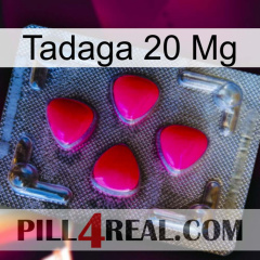 Tadaga 20Mg 13